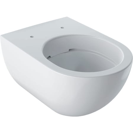 Wisząca miska WC Geberit Acanto, lejowa, ukryte mocowania, Rimfree